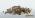 Triops longicaudatus (цисты)